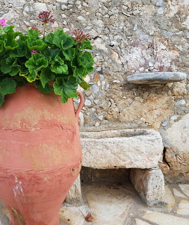 Villa Anna'S Stone House Megala Chorafia Exterior foto