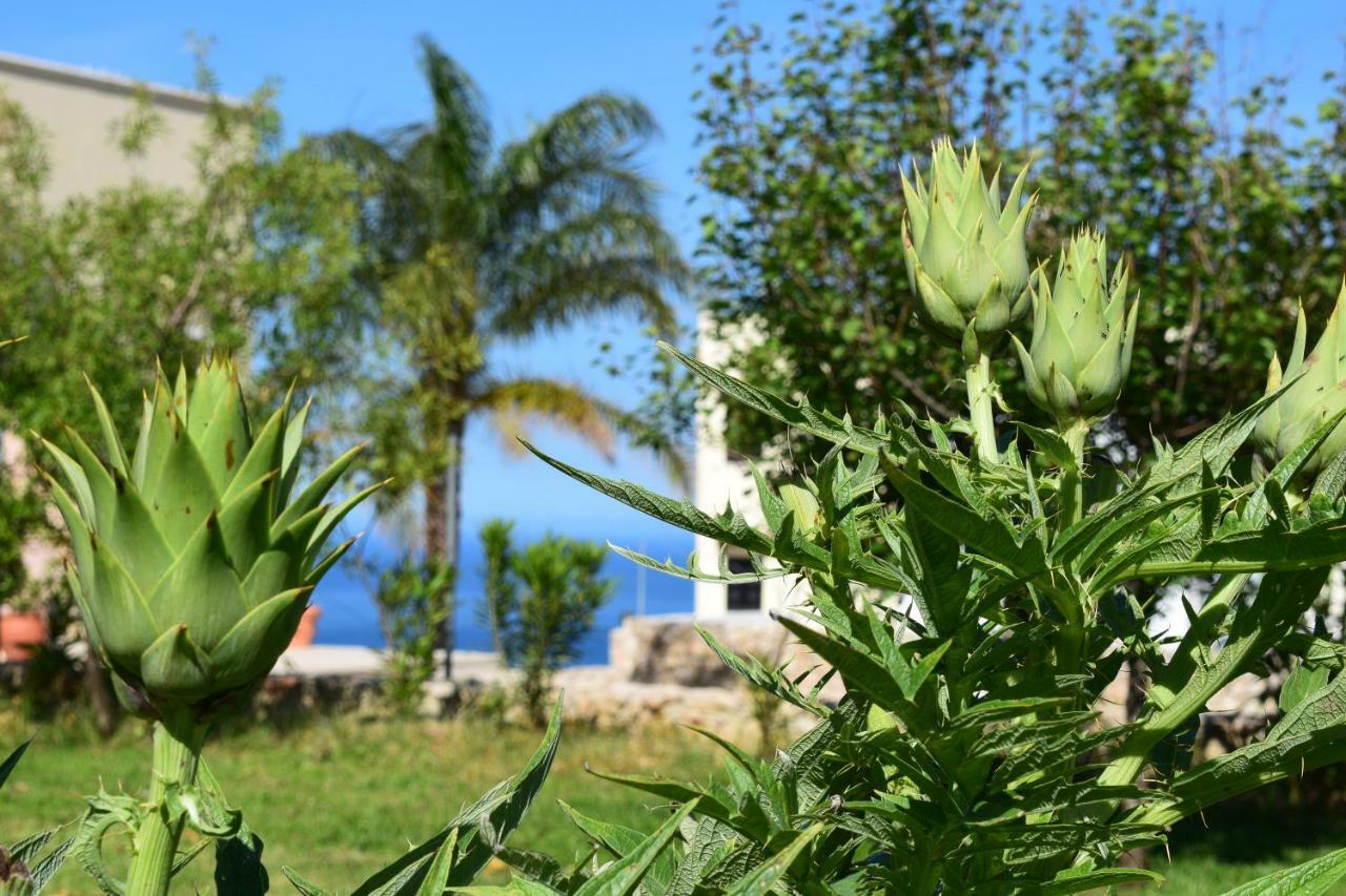 Villa Anna'S Stone House Megala Chorafia Exterior foto